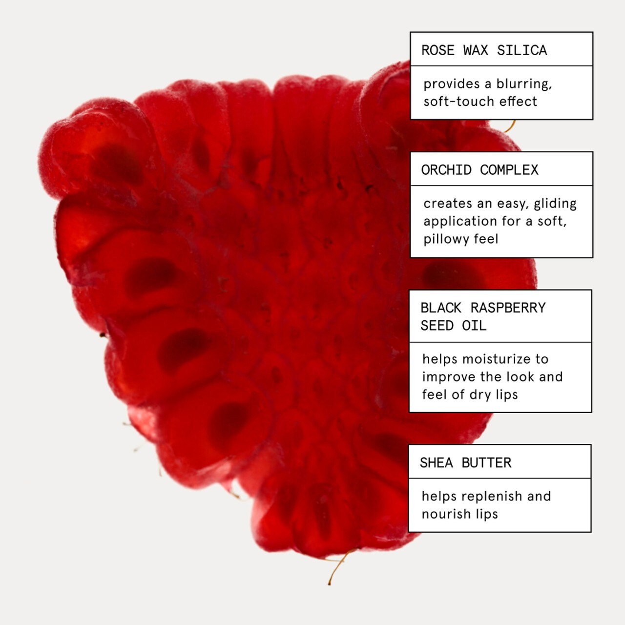 Glossier G Suit Soft Touch Matte Liquid Lip Crème | Jet