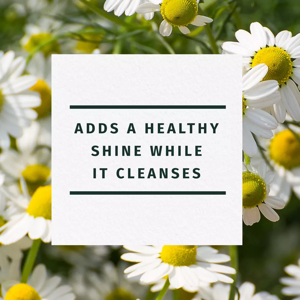 Herbal Essences Chamomile Shine Shampoo 400 ml / 13.5 oz