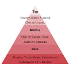 ALT. Fragrances Cherry Smash No. 12 Extrait de Parfum Inspired By Tom Ford's Lost Cherry 30 ml