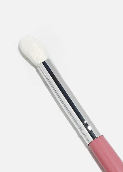 AOA Paw Paw E126 Eye Blending Brush