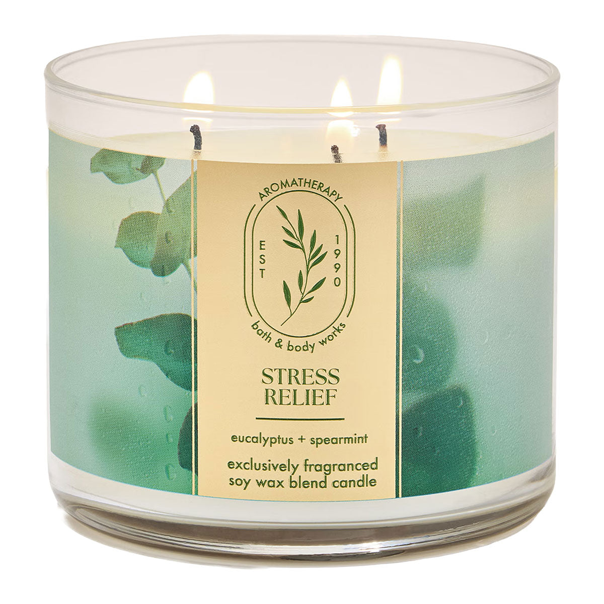 Bath & Body Works Aromatherapy Eucalyptus Spearmint 3-Wick Candle