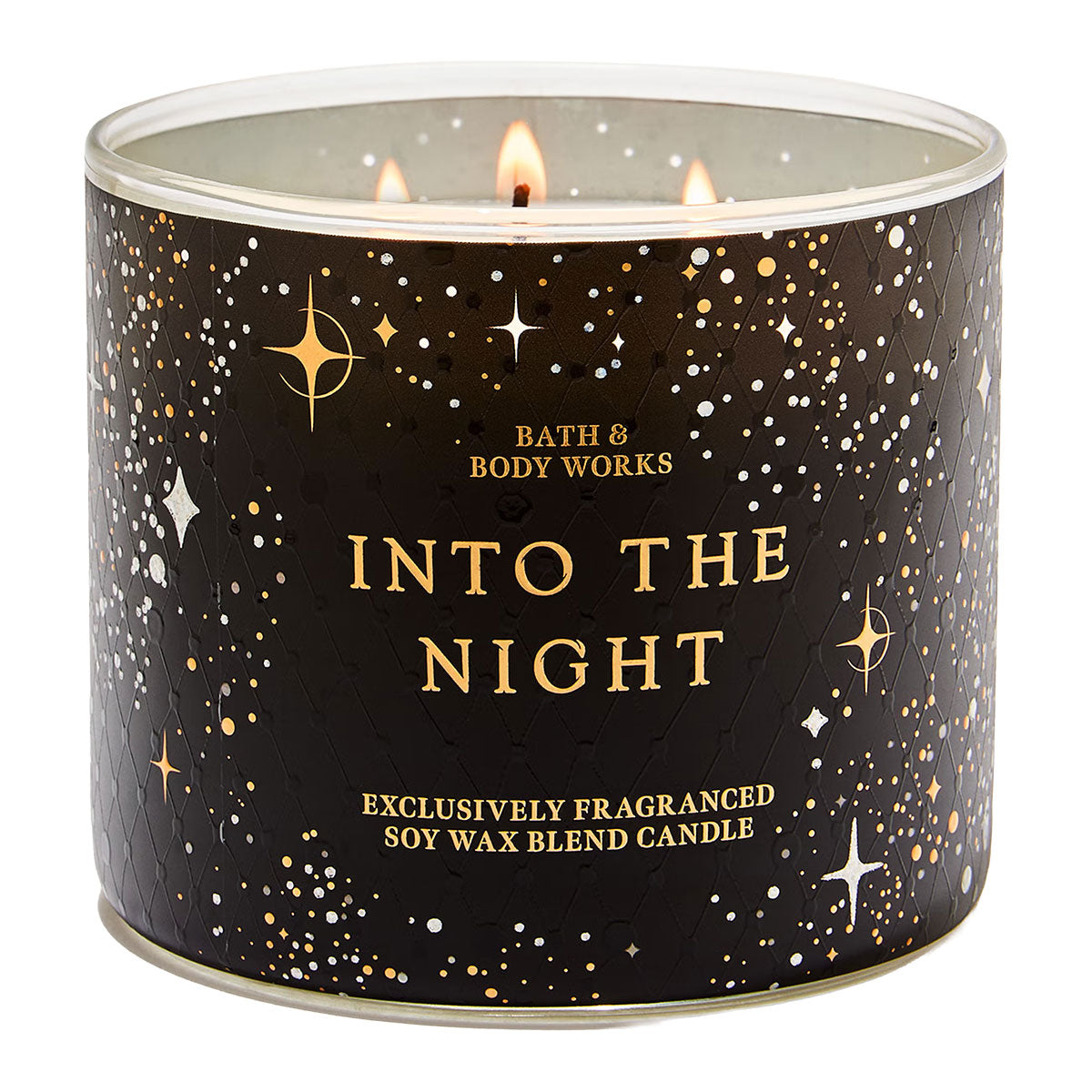 Bath & Body Works Into The Night 3-Wick Candle