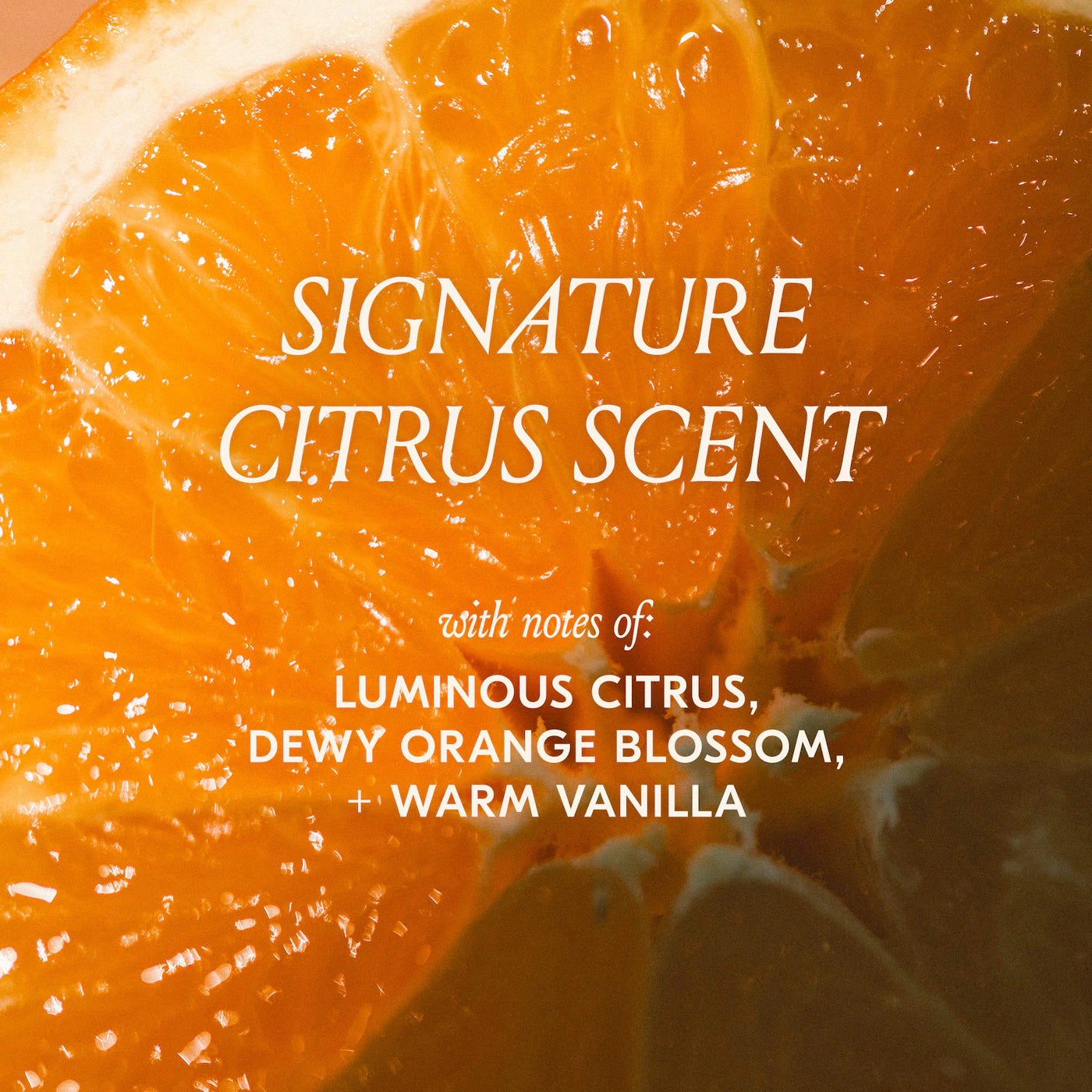 dae Cactus Fruit 3-in-1 Styling Cream with Taming Wand 0.6 oz / 20 ml