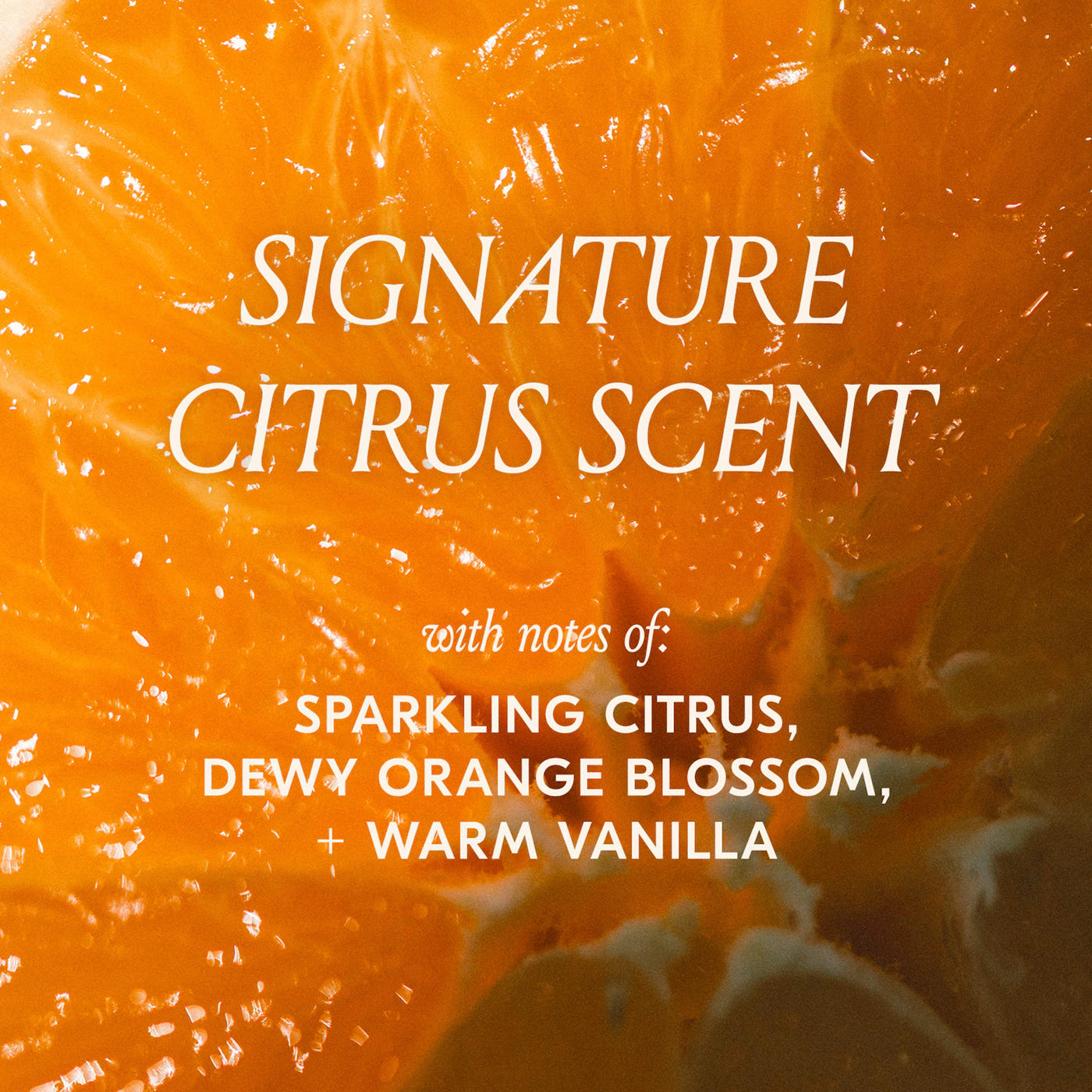 dae Slick Citrus Twist Hair + Body Kit