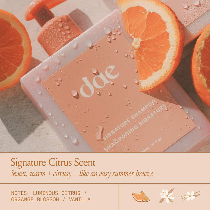 dae Signature Shampoo 300 ml / 10 oz