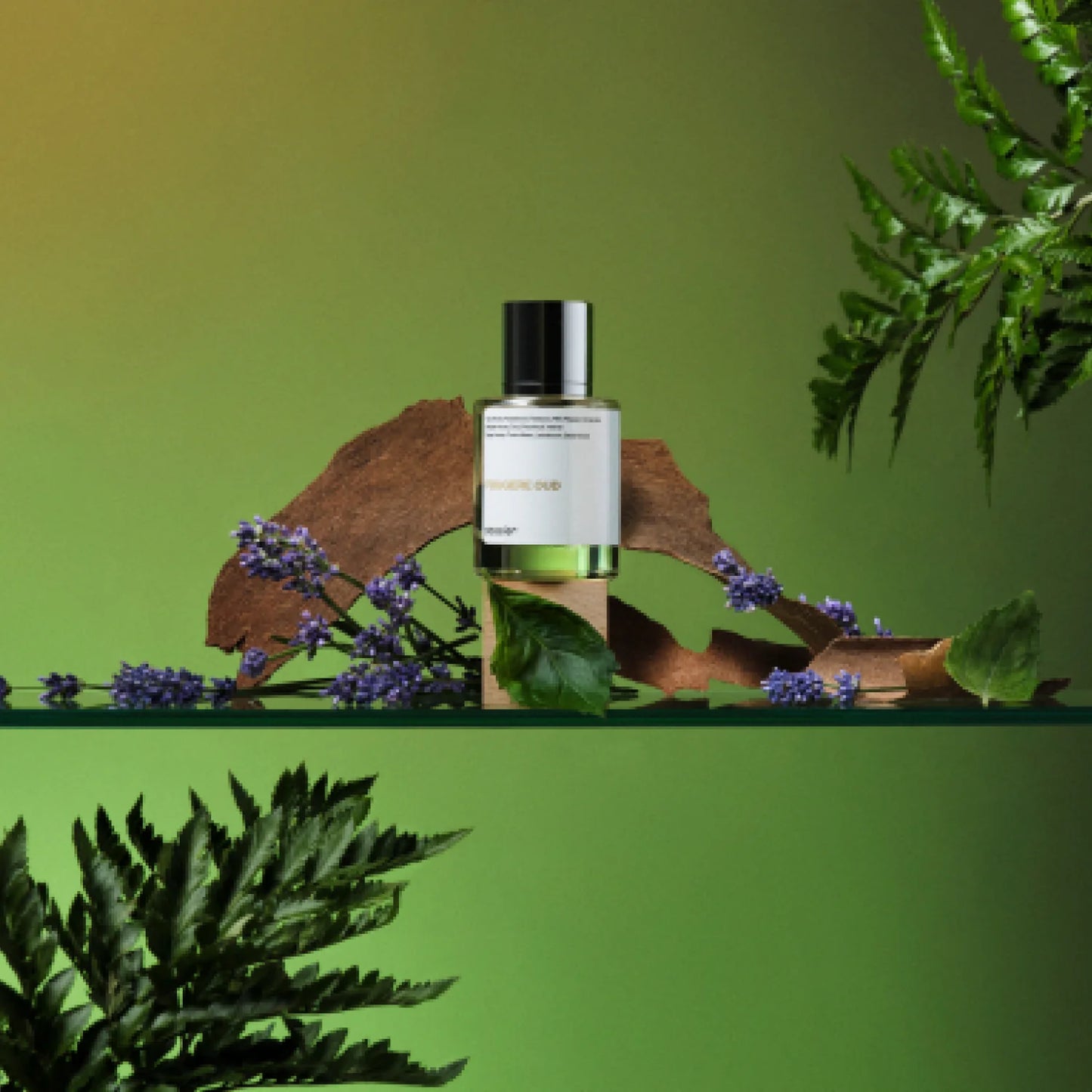 Dossier Fougere Oud Eau de Parfum Inspired by Tom Ford's Oud Wood 50 ml