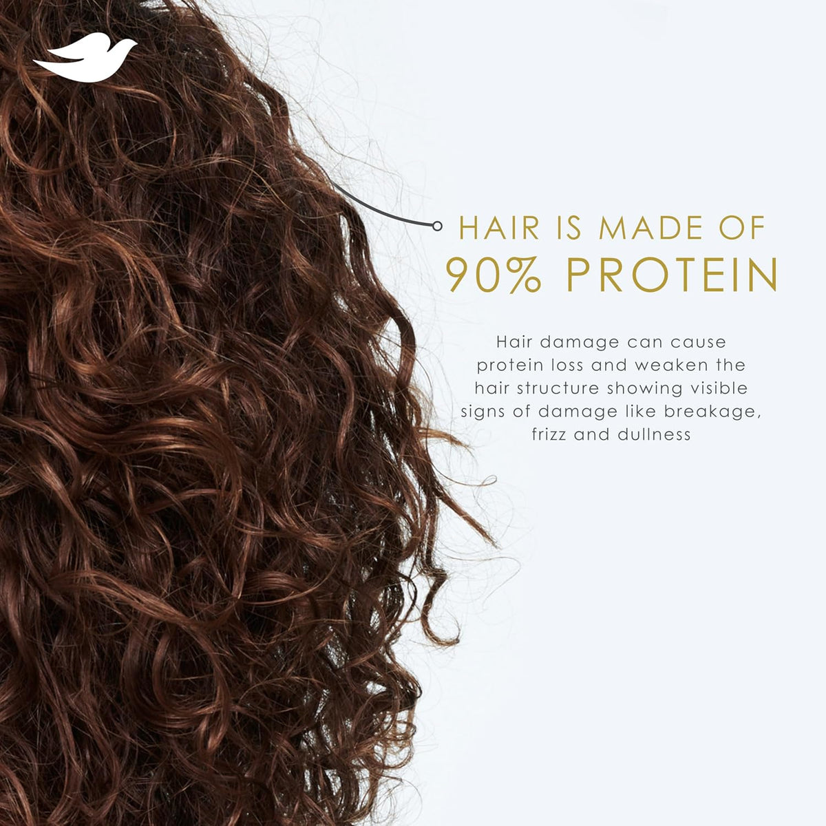 Dove Coconut & Hydration Shampoo for Dry Hair with Coconut Oil 828 ml / 28 oz
