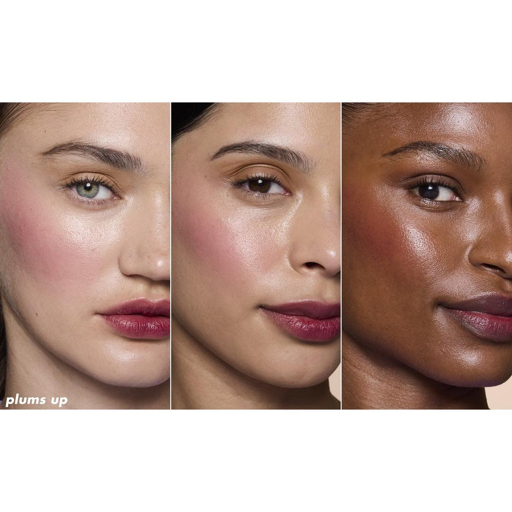 e.l.f. Sheer For It Blush Lip + Cheek Tint | Plums Up