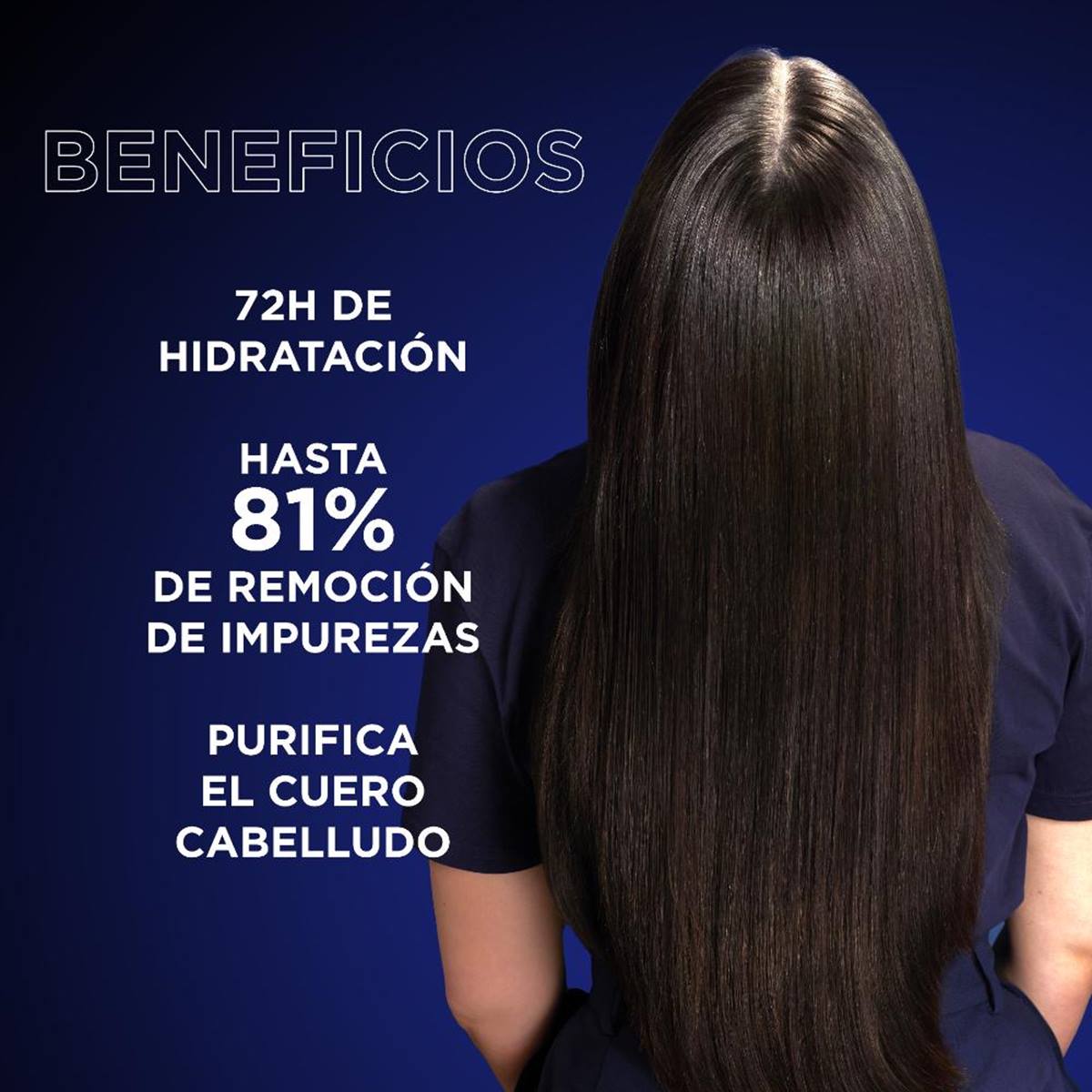 Garnier Original Remedies Carbón Magnético Shampoo Raíces Grasas Puntas Secas 250 ml