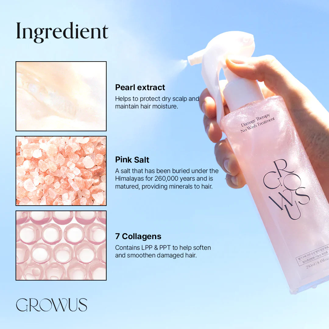 GROWUS Damage Therapy No-Wash Treatment EX 250 ml / 8.45 oz
