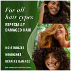 Herbal Essences Argan Oil Repair Shampoo 400 ml / 13.5 oz