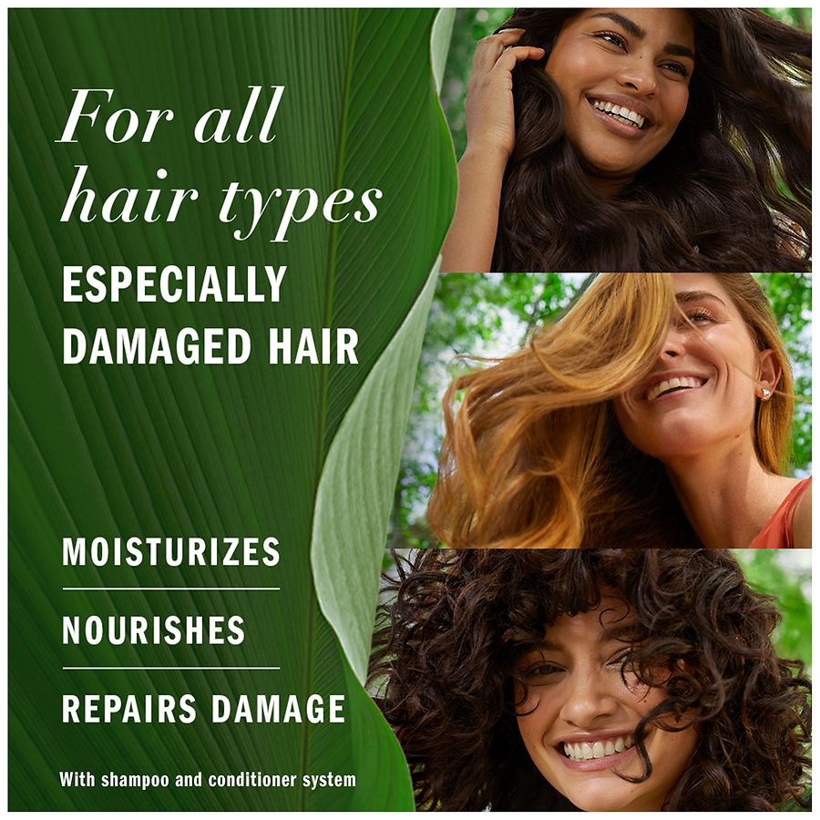 Herbal Essences Argan Oil Repair Shampoo 400 ml / 13.5 oz