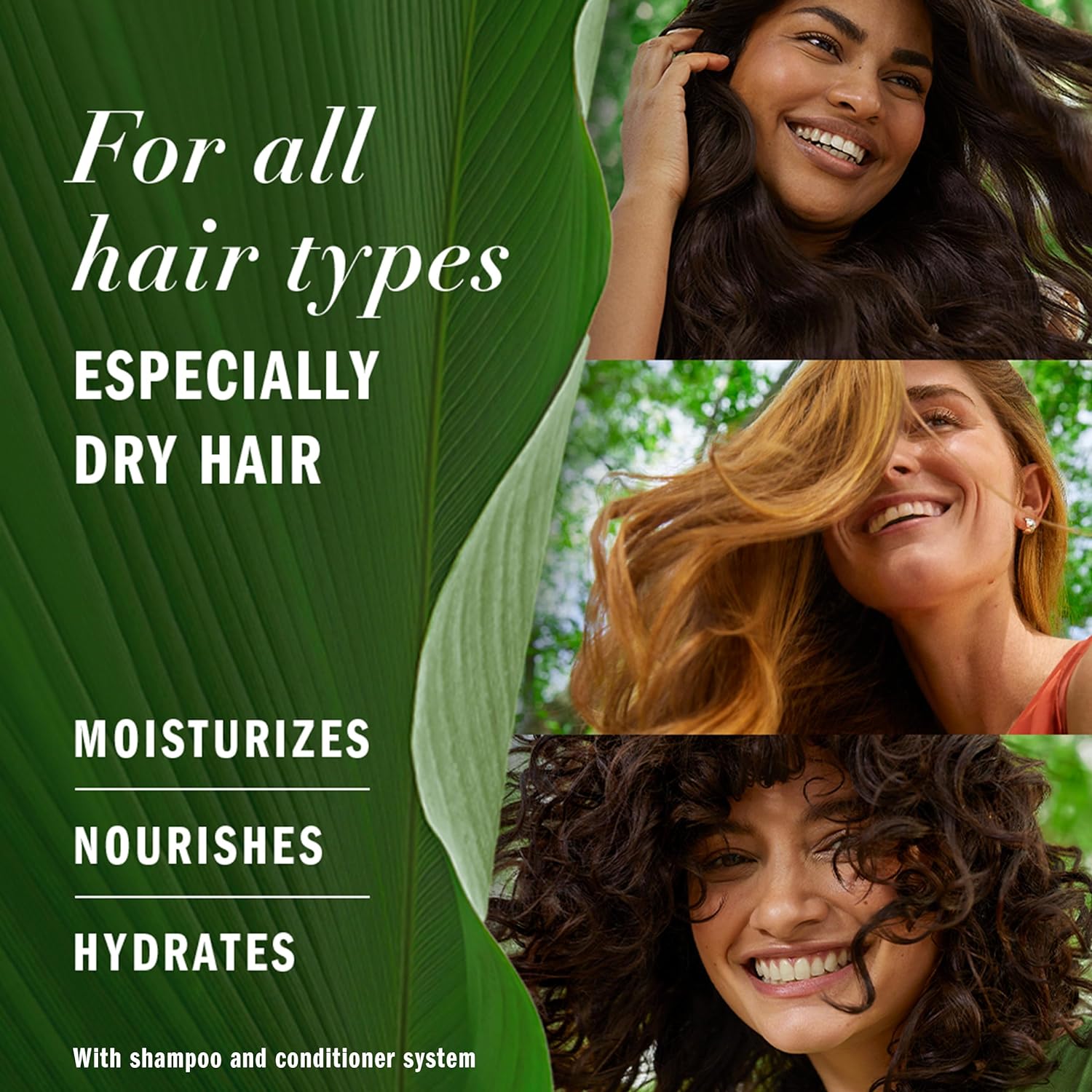 Herbal Essences Honey Sulfate-Free Daily Moisture Shampoo 400 ml / 13.5 oz