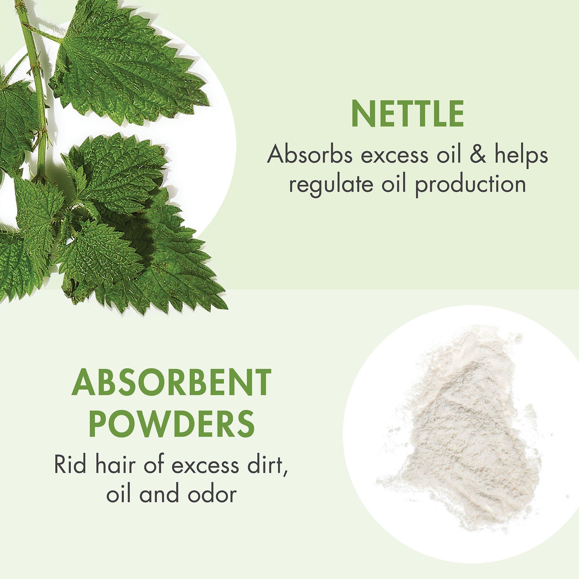 Klorane Dry Shampoo with Nettle Oil Control 150 ml