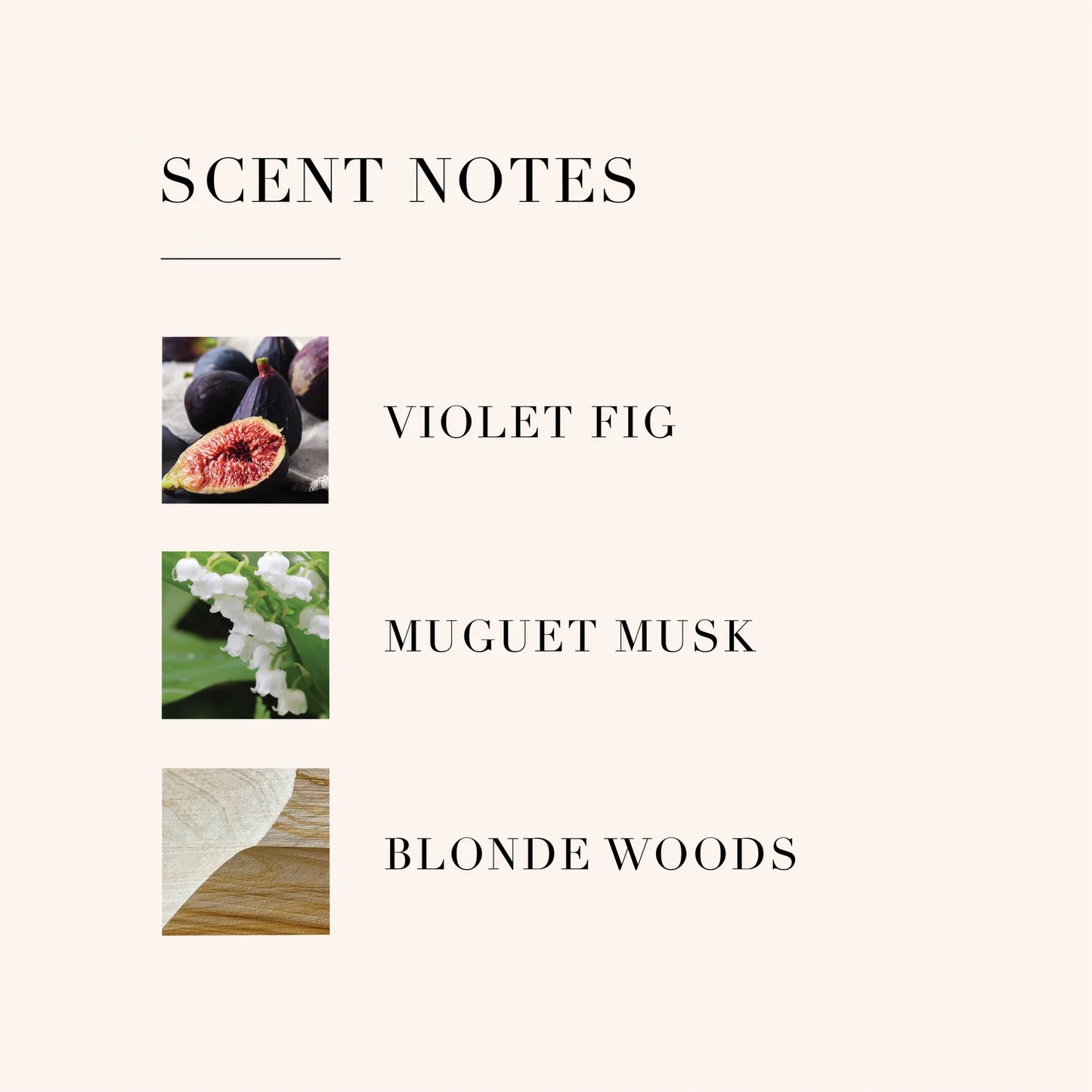 Le Monde Gourmand Chai Épicé Eau de Parfum 30 ml