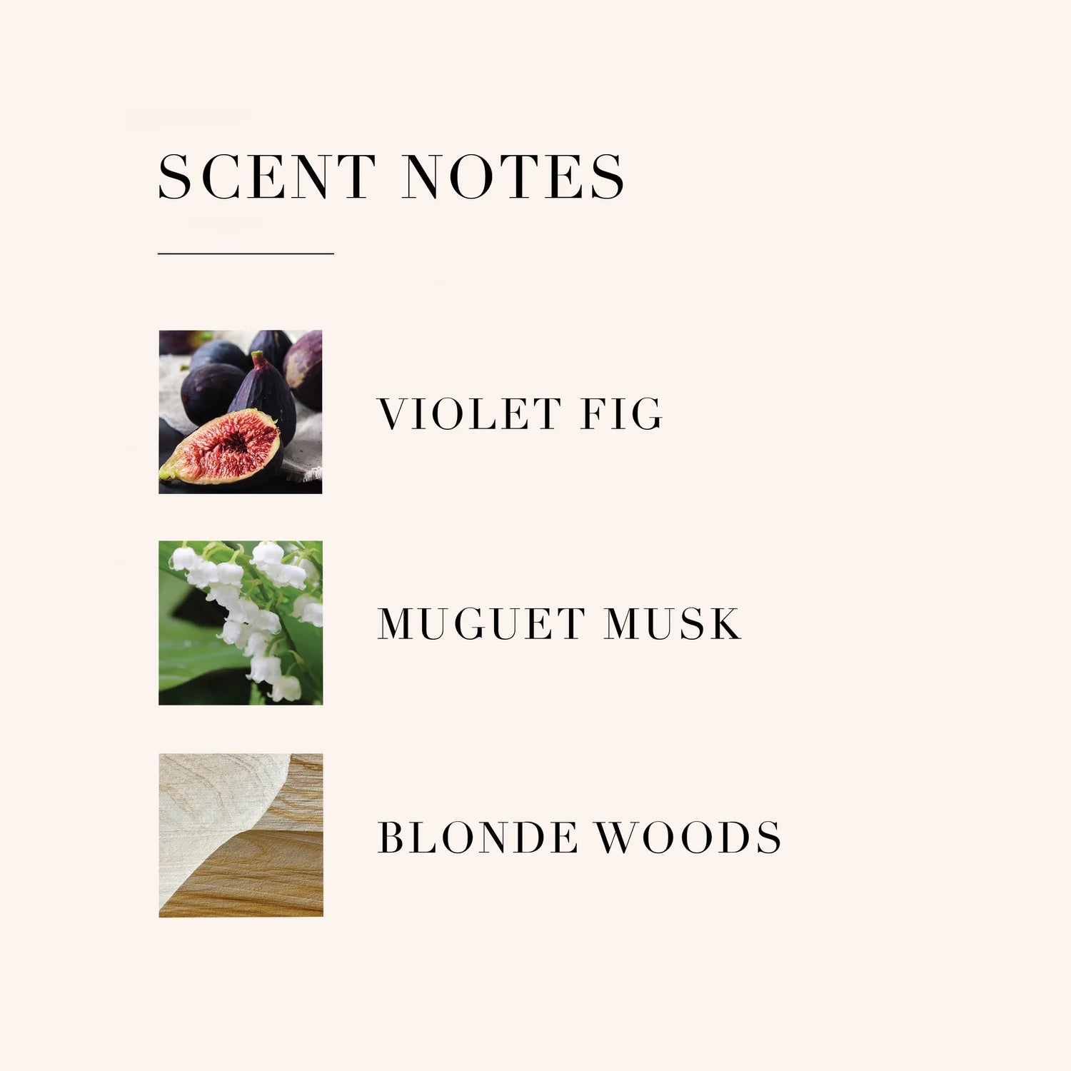 Le Monde Gourmand Chai Épicé Eau de Parfum 30 ml