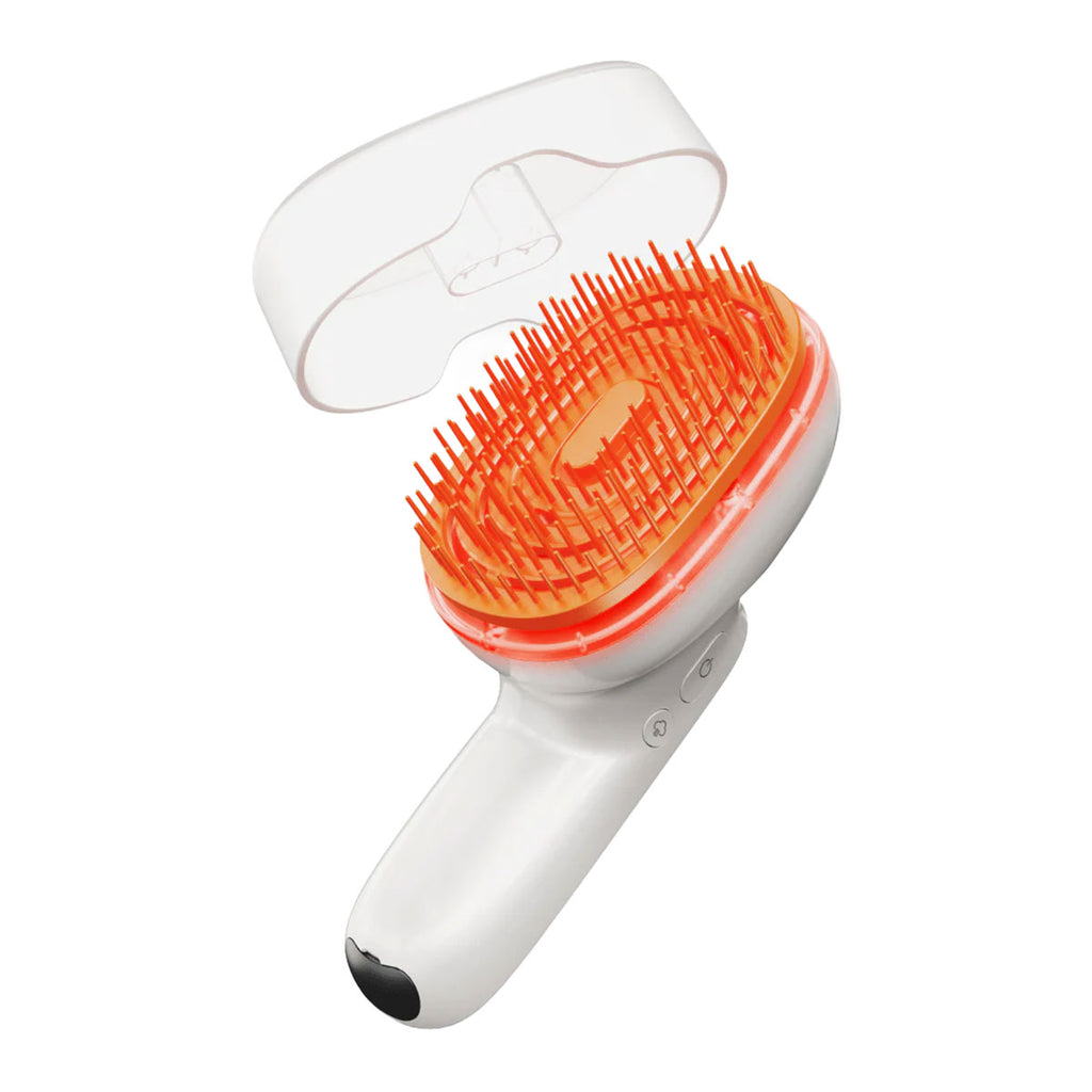 Lilyeve Grow:Turn Brush Steam Booster
