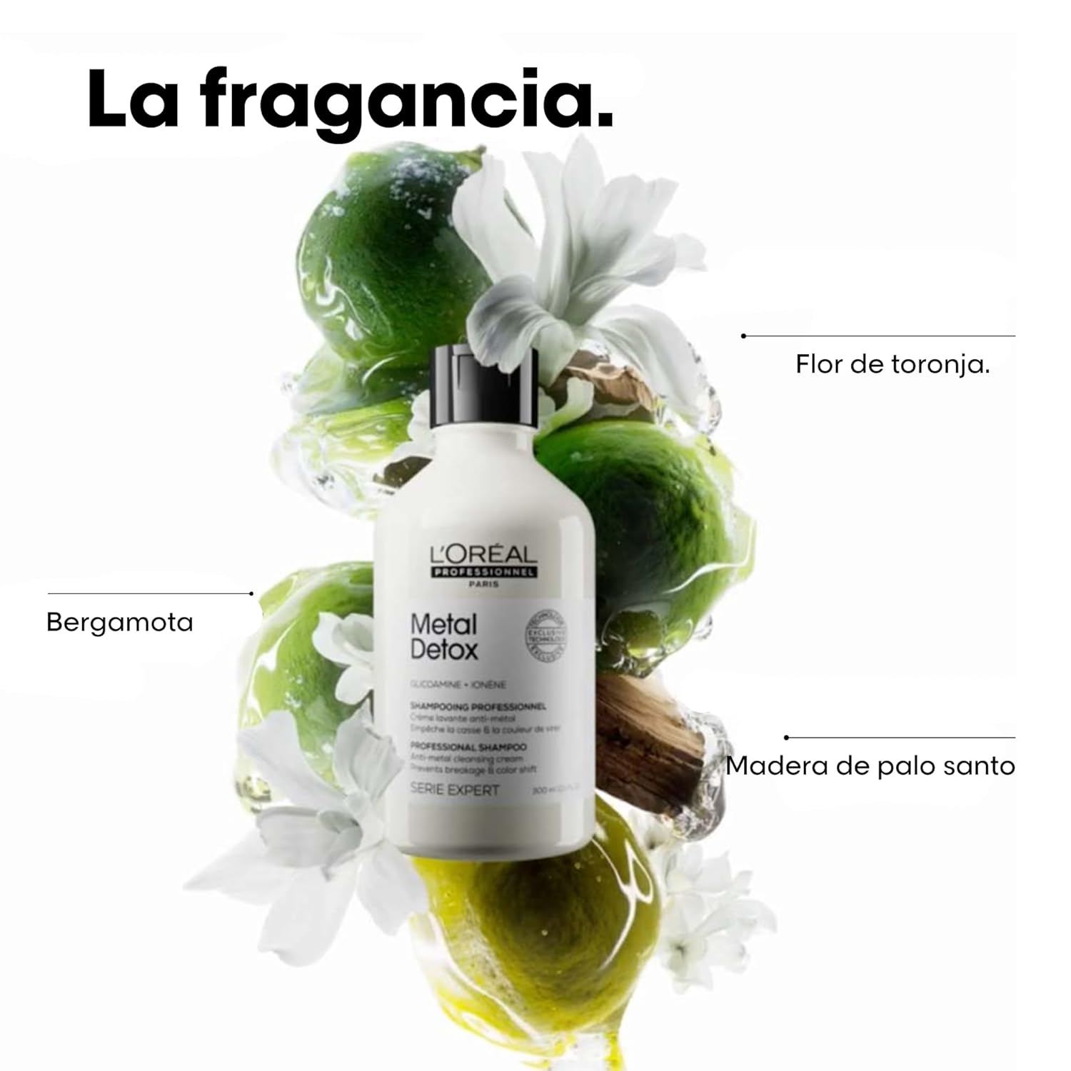 L'Oréal Professionnel Metal Detox Shampoo 300 ml / 10.1 oz