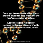 L'Oréal Professionnel Absolut Repair Molecular Serum 250 ml / 8.4 oz