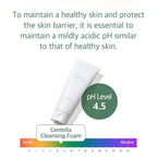 Mixsoon Centella Cleansing Foam 150 ml