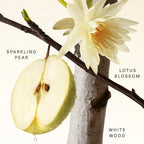 Rare Beauty Fruity Pear Fragrance Layering Balm 20 ml / 0.67 oz