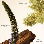 Rare Beauty Woody Oak Rare Fragrance Layering Balm 20 ml / 0.67 oz