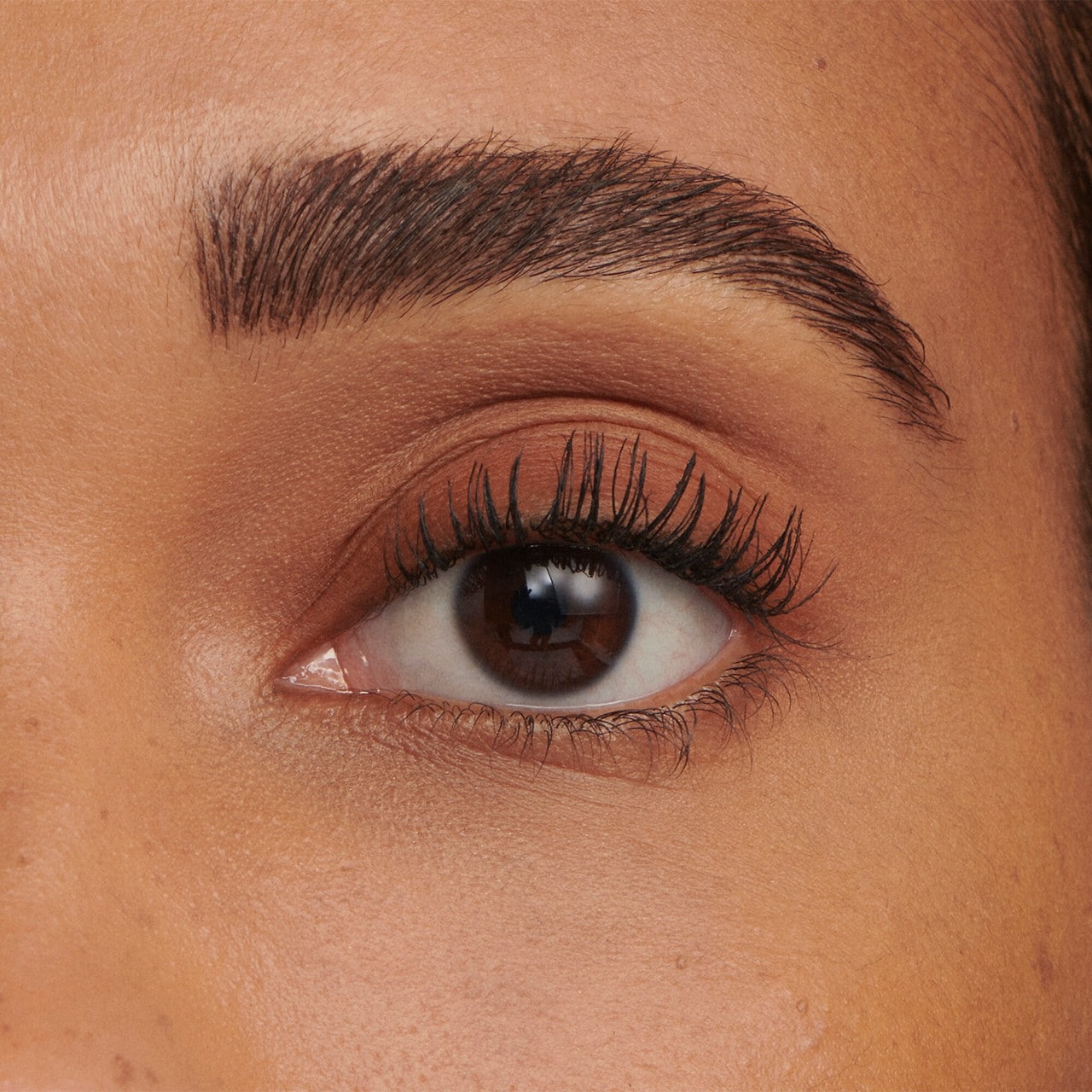 Sephora Collection Tint & Volume Brow Gel | 08 Chocolate Brown