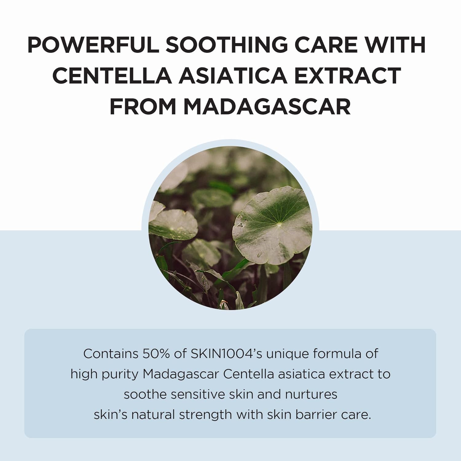 Skin1004 Madagascar Centella Hyalu-Cica Moisture Cream 75 ml / 2.53 oz