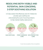 Skin1004 Madagascar Centella Tea-Trica Relaxing Mask (1ea)