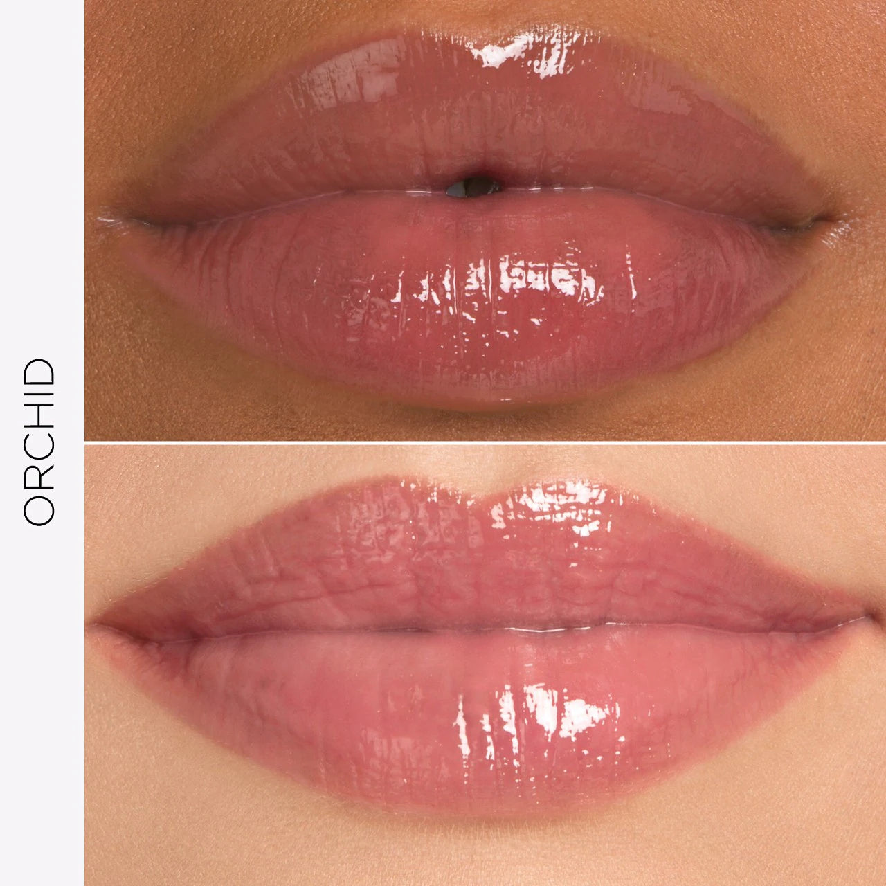 Tarte Maracuja Juicy Lip Balm | Orchid