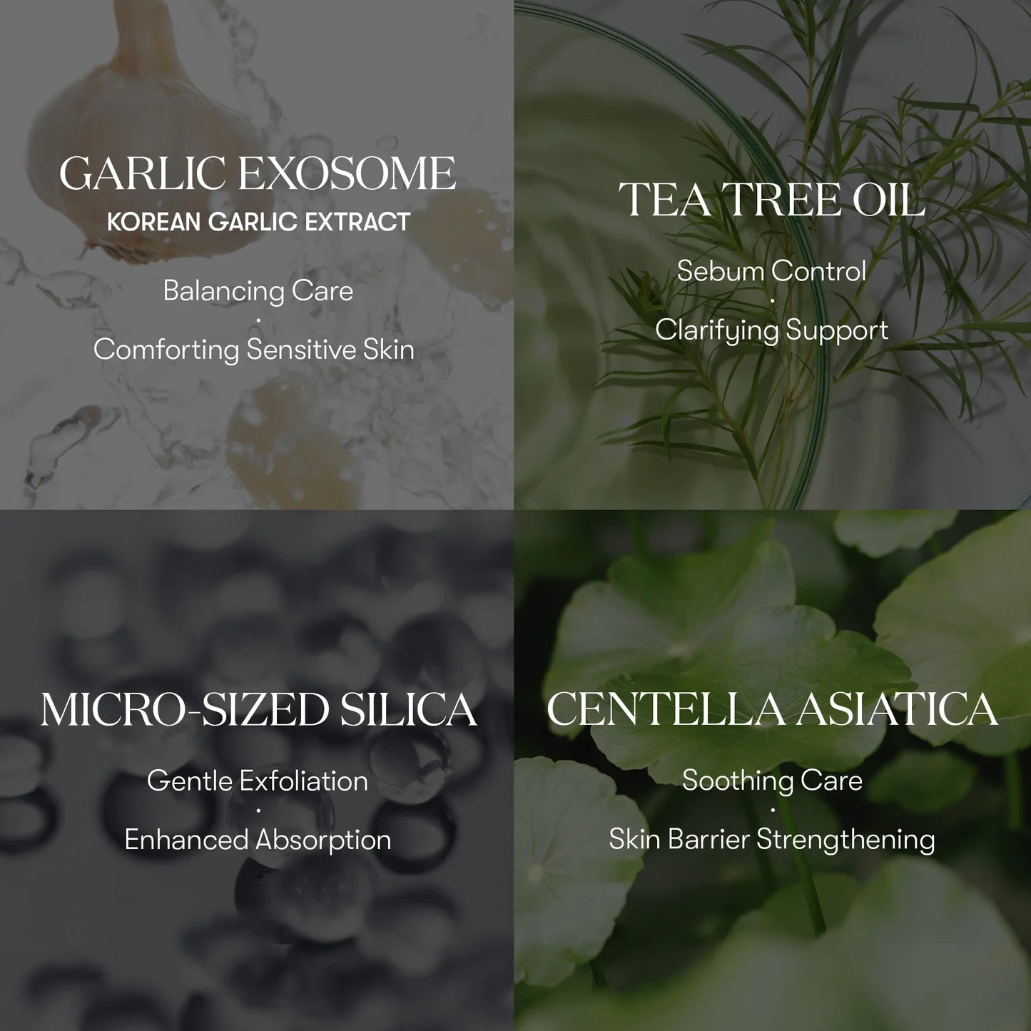 VT Cosmetics Garlic AC Reedle Shot Spot Cream 15 ml / 0.5 oz