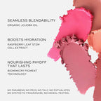 Westman Atelier Mini Baby Cheeks Lip + Cheek Cream Blush Stick Trio Gift Set