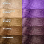 Insert Name Here Insert Color Here | Share Bear