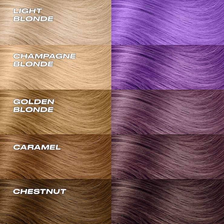 Insert Name Here Insert Color Here | Share Bear
